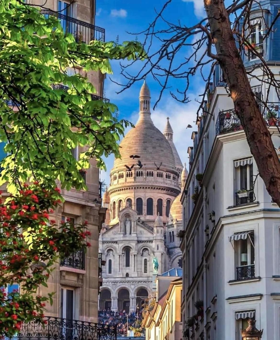 Suite Medicis Near Disneyland Σερί Εξωτερικό φωτογραφία